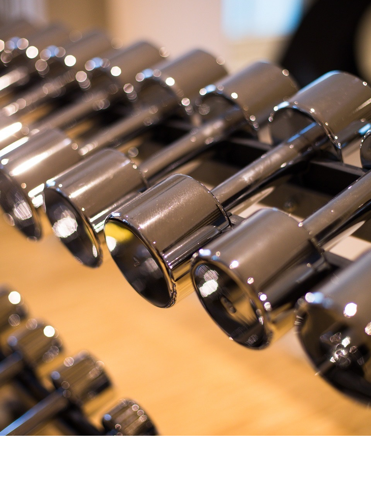 Cardio and weight training with dumbbells in the Hotel Severin * s on Sylt Cardio and weight training with dumbbells in the Hotel Severin * s on Sylt